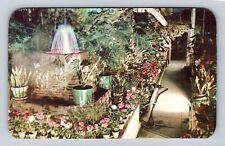 Massillon OH- Ohio, Brediger Botanical Gardens, Antique, Vintage Postcard picture