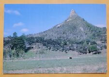 Vintage Postcard - New Zealand - Toka Toka - Rock upon Rock - Volcanic Cone picture