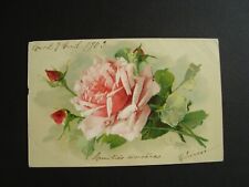 CPA - Illustrator: Catharina KLEIN - Rose - 1903  picture