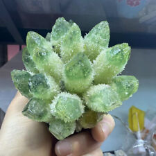 300g+New find Green Phantom Quartz Crystal Cluster Mineral Specimen Gem 1pc picture