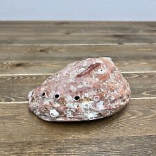 Vintage Large Natural Red Abalone Shell Beach Decor Smudge Dish picture