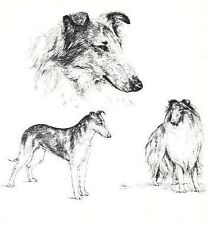 Collie - CUSTOM MATTED - 1963 Vintage Dog Art Print  * picture