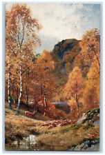 c1910 Golden Autumn The Trossachs Bonnie Scotland Oilette Tuck Art Postcard picture