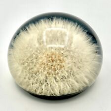 Hand Crafted Paperweight Dandelion Encased In Resin Handmade In Canada Natural picture