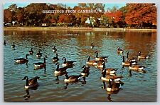 Vintage Postcard Greetings from Cameron West Virginia Swans G10 picture