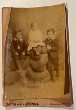 Antique Photograph 3 Young Brothers Cabinet Card Fenton & Andrus Jamestown, NY picture
