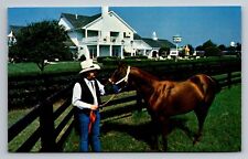 Horse At Southfork Ranch Dallas Texas Vintage Unposted Postcard picture
