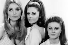 VALLEY OF THE DOLLS SHARON TATE PATTY DUKE BARBARA PARKINS 24x36 inch Poster picture