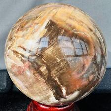 Natural Wood Fossil Decoration Polished Wood Grain Fossil Decor Crystal 3.55LB picture