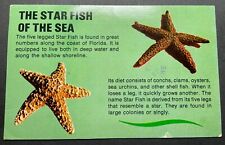 Florida FL Postcard Story Of The Star Fish Conchs Oysters Sea Urchins picture