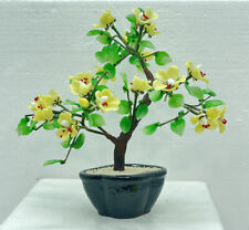 16 Yellow Flowers Asian Bonsai Tree In A Black Pot picture