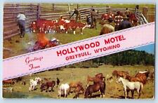 Greybull Wyoming WY Postcard Greetings From Hollywood Motel c1960 Vintage Cattle picture