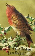 1880's-90's Embossed Christmas New Years Card Beautiful Wild Bird Holly Snow P94 picture