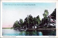 Mousam Lake, near G.A.R Camps, Shapleigh Maine- c1910s Hand Colored Postcard picture