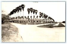 c1930's Palm Grove Lower Rio Grande Valley San Benito TX RPPC Photo Postcard picture