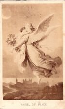 Deceased Baby Ascending to Heaven by an Angel, CDV, 1869, #C262 picture