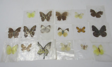 Antique Butterfly Specimen Collection Real Natural Multi-Color Lot (17) picture