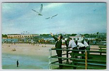 c1960s Feeding the Seagulls on the Pier Old Orchard Beach ME Vintage Postcard picture
