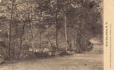 1909 NEW HAMPHISRE PHOTO POSTCARD: VIEW OF THE BIRCH GLEN, ANTRIM, NH picture