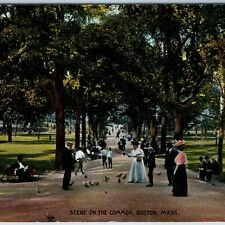 c1900s Boston, MA Scene on the Common Crowd Park Feed Bird PC Reichner Bros A211 picture