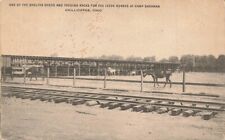 c1918 Shelter Feeds Feeding Racks Horses Camp Sherman Chillicothe Ohio OH P580 picture