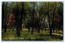 1914 City Parkscene Trees Scene Dodge City Kansas KS Posted Vintage Postcard picture