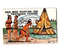 Vintage Curt Teich Comic Postcard 'Feathered Friends' Native American Humor P-23 picture