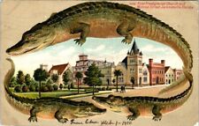 1910, ALLIGATOR BORDER, Monroe Street, JACKSONVILLE, Florida Postcard - S 606 picture