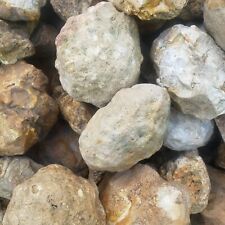 5 lbs Premium Kentucky Uncut Geodes Agates Nodules Lapidary Quartz Crystals Sale picture