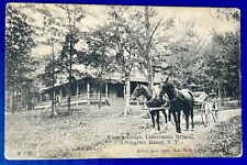 Waneta Lodge. Fishermans Retreat. Livingston Manor, New York. Vintage Postcard picture