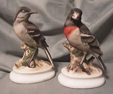 Pair of Vintage Lefton Birds; Rose Breasted Grosbeak KW4206 & MOCKINGBIRD KW1184 picture