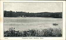 Medway Massachusetts MA Populatic Lake c1910 Vintage Postcard picture