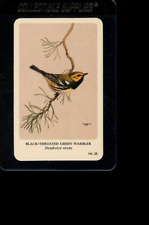 Black Throated Green WARBLER 1960'S GENERAL CIGAR CO. NORTHERN BIRDS #28 picture
