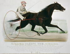 The Pacing Wonder,Sleepy Tom,Blind Horse,Phillips,Harness Racing,Horse,c1879 picture
