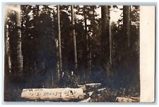 Centralia Washington WA Postcard RPPC Photo Leppard Milling Co. Logging 1911 picture