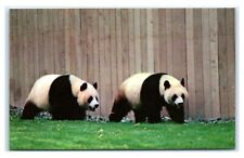 Postcard National Zoological Park, Washington DC Pandas Ling Ling Hsing  E13 picture