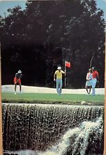Ft Lauderdale Golf Course Bonaventure Hotel Golfers Florida 6x4 Postcard c1980 picture