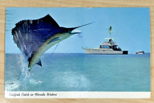 Florida Vintage Postcard 1970s Sailfish Catch in Florida Waters Fishing Posted picture