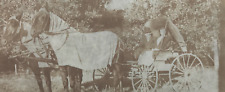 Antique Vtg RPPC Horse Drawn Covered Buggy Man Woman Hat Blankets #279 picture