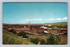 Livingston MT-Montana, Northern Pacific Railway Shops, Antique Vintage Postcard picture