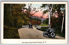 c1930s Greetings Halcott Center New York Street View Vintage Postcard picture