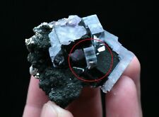 60g Rare Transparent Blue Cube Fluorite Apatite Mineral Specimen/Yaogangxian picture
