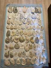 Oyster Shells, Lot Of 90 Cleaned Sizes 2- 5”Great for crafts picture