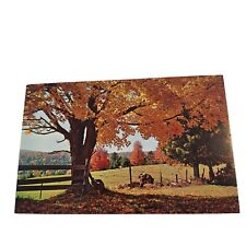 Postcard A Typical New England Fall Scene Orange Leaves Chrome Unposted picture