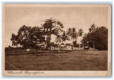 c1950's Chinese Cemetery Jakarta Indonesia Vintage Unposted Postcard picture
