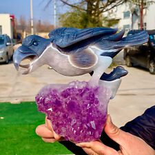 4.27LB Natural agate amethyst crystal handmade bird crystal treatment picture