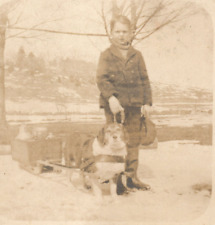 Beagle Pulling Sled Grafton Vermont VT RPPC Real Photo Postcard Easter picture