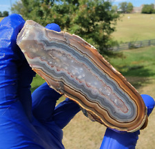 Kentucky Agate Geode - Estill County - Brown Blue, Maroon - Plus Rock Rewards picture