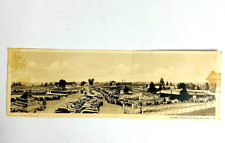 Rare Panoramic Postcard Dionne Quintuplets Quintland Canada Fold-Over PE Co Vtg picture
