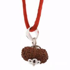 Lab Certified A++ 14 Mukhi Rudraksha: The Divine Symbol of Lord Shiva picture